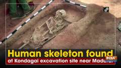 Human skeleton found at Kondagai excavation site near Madurai