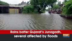 Rains batter Gujarat's Junagadh, several affected by floods