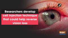 Researchers develop cell injection technique that could help reverse vision loss