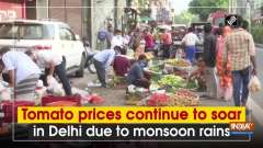 Tomato prices continue to soar in Delhi due to monsoon rains