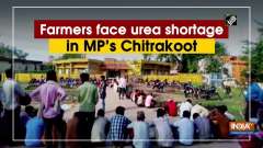 Farmers face urea shortage in MP's Chitrakoot