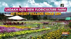 Ladakh gets new floriculture farm at Thiksey village near Leh