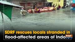 SDRF rescues locals stranded in flood-affected areas of Indore