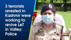 3 terrorists arrested in Kashmir were working to revive LeT in Valley: Police