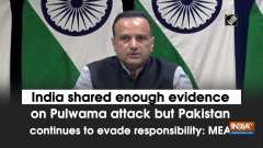 India shared enough evidence on Pulwama attack but Pakistan continues to evade responsibility: MEA