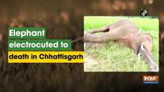 Tejashwi Yadav highlights ill effects of passed agriculture bills