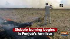 Stubble burning begins in Punjab's Amritsar