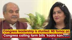 Congress leadership is stunted: NS Tomar on Congress calling farm bills 'kaala kanoon'