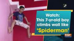 Watch: This 7-yr-old boy climbs wall like 'Spiderman'