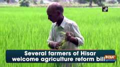 Several farmers of Hisar welcome agriculture reform bills