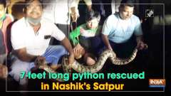 7-feet long python rescued in Nashik's Satpur
