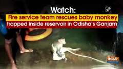 Watch: Fire service team rescues baby monkey trapped inside reservoir in Odisha's Ganjam