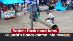 Watch: Flash flood turns Gujarat's Banaskantha into river