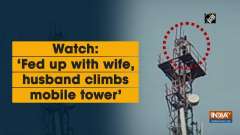 Watch: 'Fed up with wife, husband climbs mobile tower'