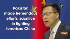 Pakistan made tremendous efforts, sacrifice in fighting terrorism: China