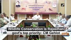 Wildlife Conservation is Rajasthan govt's top priority: CM Gehlot