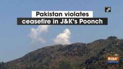 Pakistan violates ceasefire in J-K's Poonch