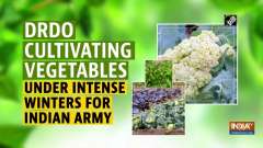 DRDO cultivating vegetables under intense winters for Indian Army