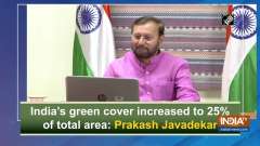 India's green cover increased to 25% of total area: Prakash Javadekar