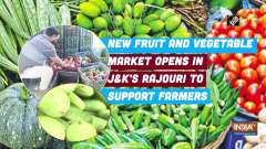 New fruit and vegetable market opens in JandK's Rajouri to support farmers