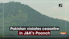 Pakistan violates ceasefire in J-K's Poonch