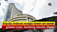 Equity indices nudge lower on weak global cues, banking stocks dip