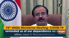 COVID-19 reminded us of our dependence on each other, says V Muraleedharan
