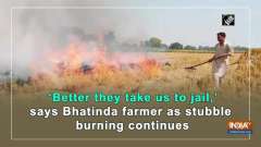 'Better they take us to jail,' says Bhatinda farmer as stubble burning continues