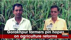 Gorakhpur farmers pin hopes on agriculture reforms
