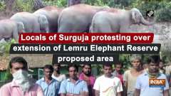 Locals of Surguja protesting over extension of Lemru Elephant Reserve proposed area