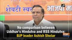No comparison between Uddhav's Hindutva and RSS Hindutva: BJP leader Ashish Shelar
