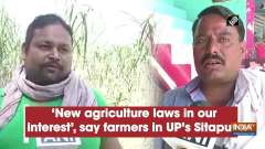 'New agriculture laws in our interest', say farmers in UP's Sitapur