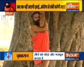 Learn from Swami Ramdev how you can increase your immunity
