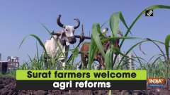 Surat farmers welcome agri reforms