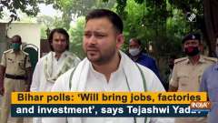 Bihar polls: 'Will bring jobs, factories and investment', says Tejashwi Yadav