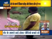 Gujarat: Lion hunts down cow at Gir National Park