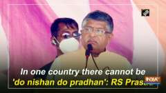 In one country there cannot be 'do nishan do pradhan': RS Prasad
