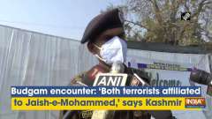 Budgam encounter: 'Both terrorists affiliated to Jaish-e-Mohammed,' says Kashmir IGP