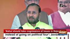 'Rahul should take cognisance of issues in Rajasthan instead of going on political tour': Javadekar