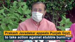 Prakash Javadekar appeals Punjab Govt to take action against stubble burning