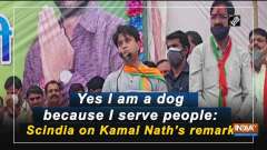 Yes I am a dog because I serve people: Scindia on Kamal Nath's remark
