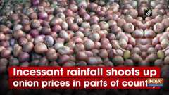 Incessant rainfall shoots up onion prices in parts of country