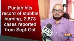 Punjab hits record of stubble burning, 2,873 cases reported from Sept-Oct