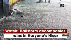 Watch: Hailstorm accompanies rains in Haryana's Hisar