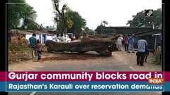 Gurjar community blocks road in Rajasthan's Karauli over reservation demands