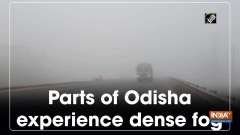 Parts of Odisha experience dense fog
