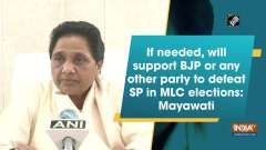 If needed, will support BJP or any other party to defeat SP in MLC elections: Mayawati
