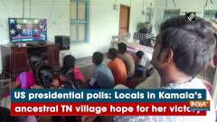 US presidential polls: Locals in Kamala's ancestral TN village hope for her victory