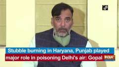 Stubble burning in Haryana, Punjab played major role in poisoning Delhi's air: Gopal Rai