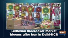 Ludhiana firecracker market blooms after ban in Delhi-NCR